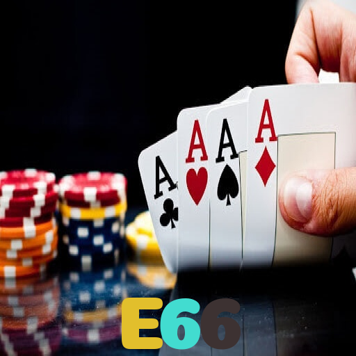 E66