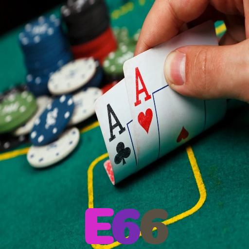 E66